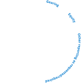Gearing  	  Equity  	Other reporting as requested/required